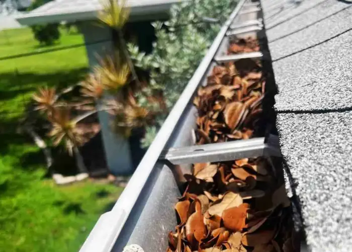 Heritage Palms gutter cleaning home page
